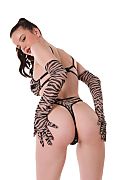 Toree Wildstyle istripper model