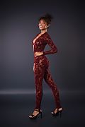 Barbie Rous Hugged In Burgundy istripper model
