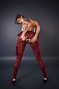 Barbie Rous Hugged In Burgundy istripper model