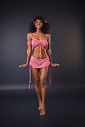 Barbie Rous Let Funtime Begin istripper model