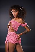 Barbie Rous Let Funtime Begin istripper model